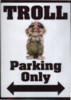 Troll Parking Only Poster - More Details
